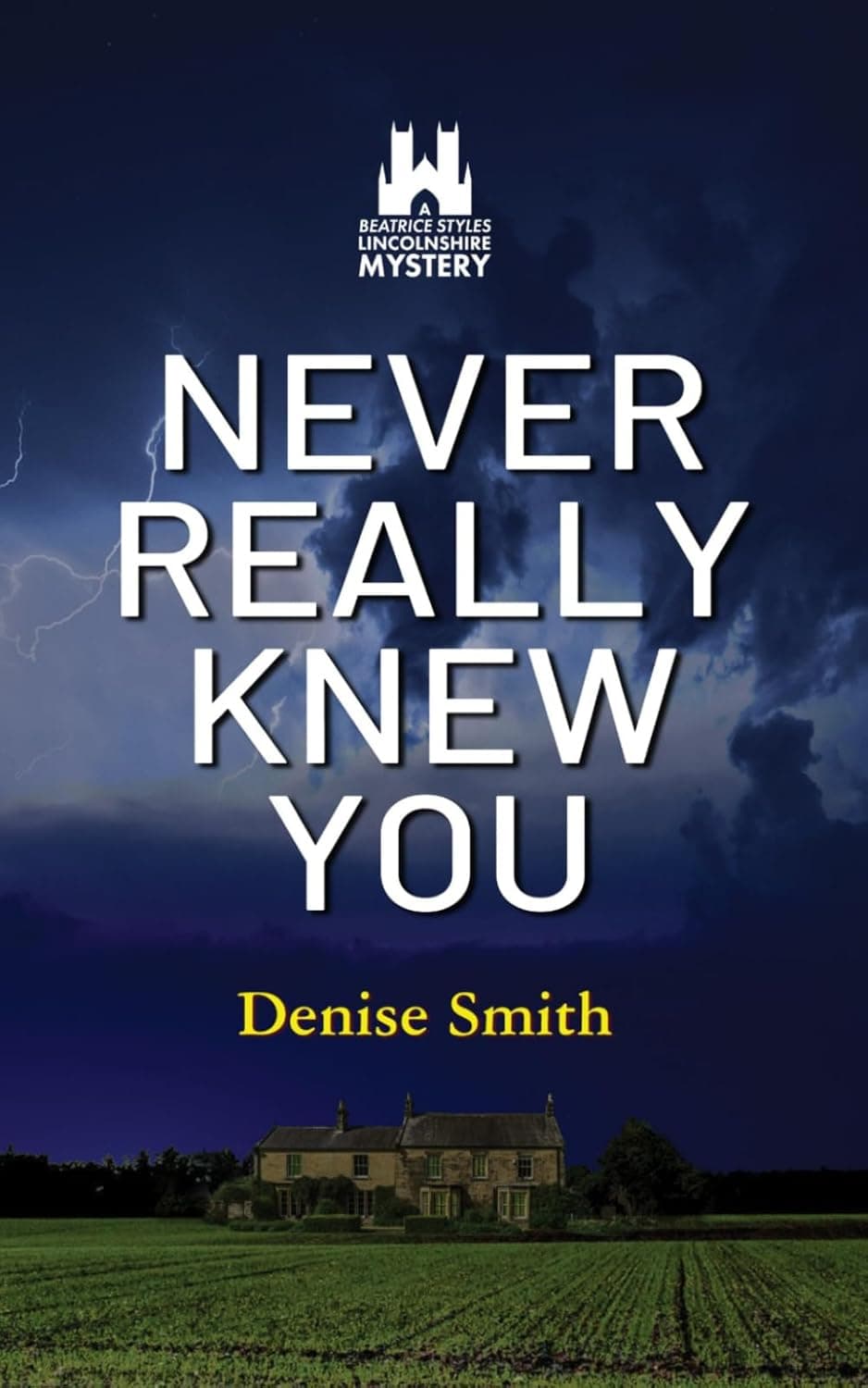 Never Really Knew You cover